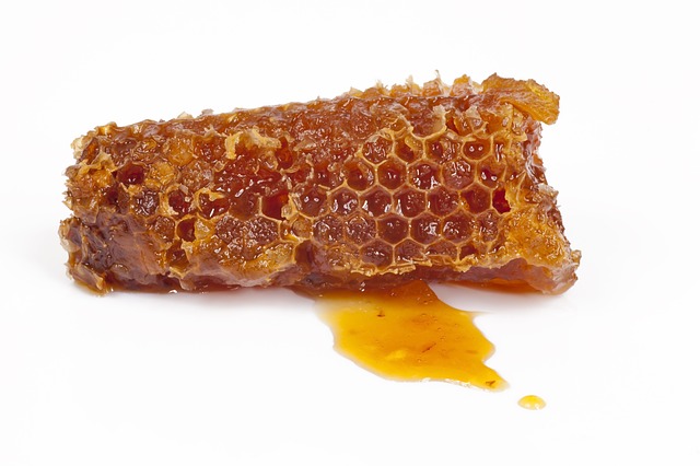 plástev od medu.jpg