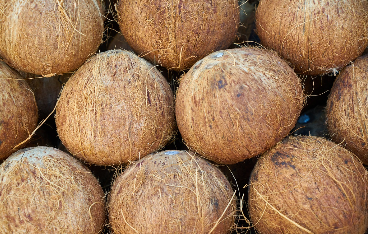 připravené kokosy